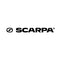 Scarpa