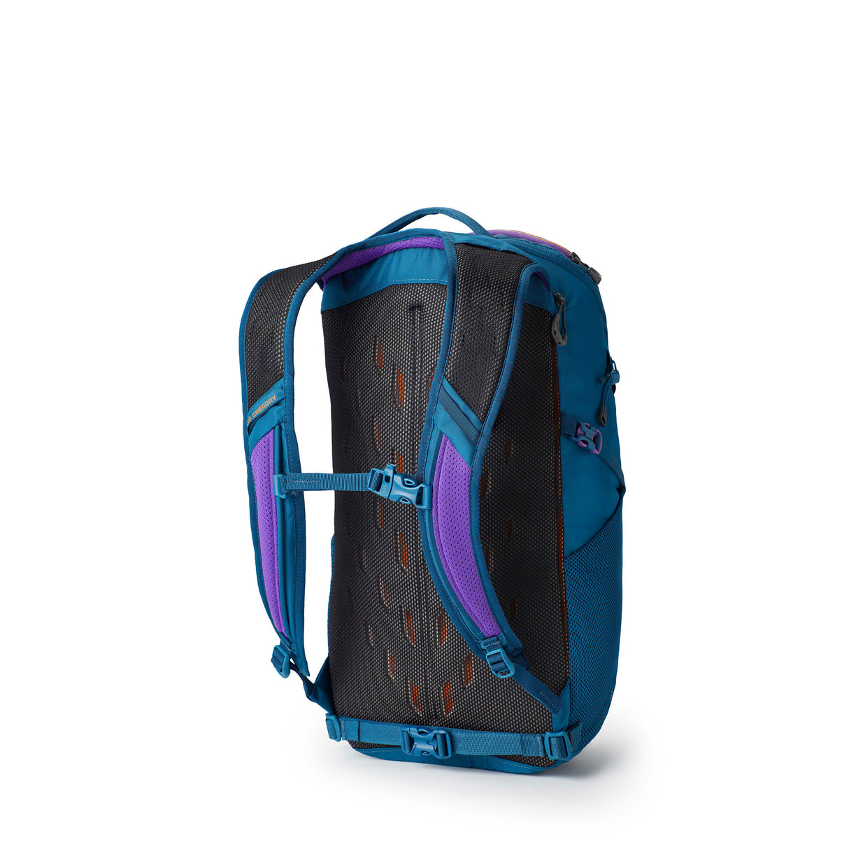 Gregory Nano 24 Pack - Unisex