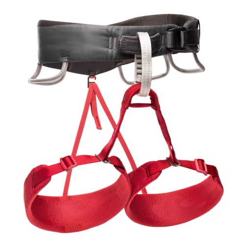 Black Diamond Momentum Harness - Women's-[SKU]-Wild Rose-X-Small-Alpine Start Outfitters