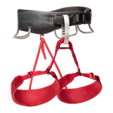 Black Diamond Momentum Harness - Women's-[SKU]-Wild Rose-X-Small-Alpine Start Outfitters