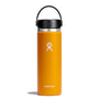 Hydro Flask 20 oz Wide Mouth with Flex Cap-[SKU]-Starfish-Alpine Start Outfitters