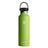 Hydro Flask 21 oz Standard Mouth with Flex Cap-[SKU]-Seagrass-Alpine Start Outfitters