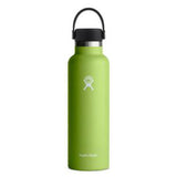 Hydro Flask 21 oz Standard Mouth with Flex Cap-[SKU]-Seagrass-Alpine Start Outfitters